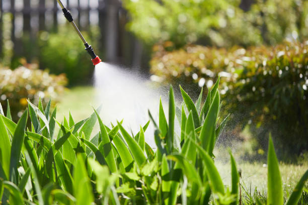 24/7 Emergency Mosquito Control experts in Albany, IN