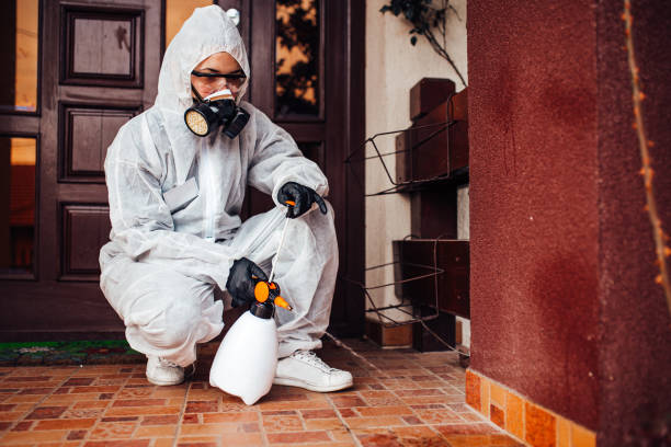 Reliable Mosquito Control contractor in Albany, IN by Show Me Pest Control